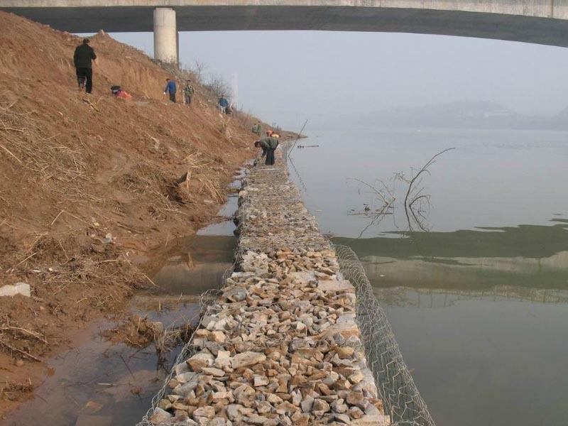 連云港石籠網工程